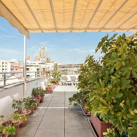Aranea Otel 3*