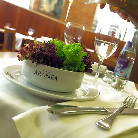 Aranea Hotel Barcelone