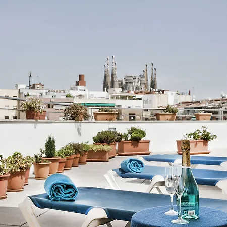 Aranea Hotel