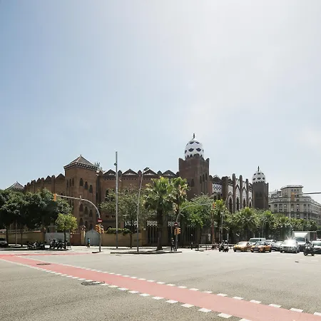 Aranea Barcelona