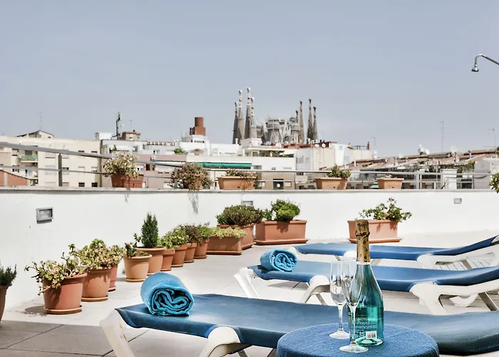 Aranea Hotel
